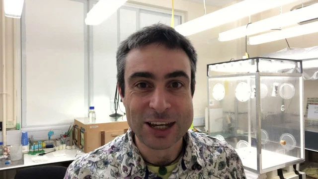 Hamish Symington, pollination researcher at the University of Cambridge.