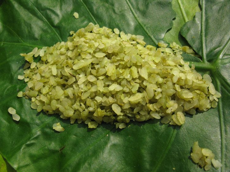 Natural com has a light green, slightly yellow color.