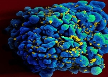 hiv vaccine mrna shows good results in animals 117718
