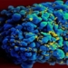 hiv vaccine mrna shows good results in animals 117718