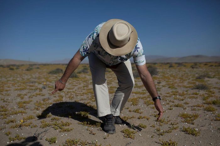 Biologist Francisco Squeo