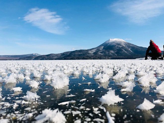 The scene of flowers "blooming" in the early morning resembles a frozen crystal carpet.