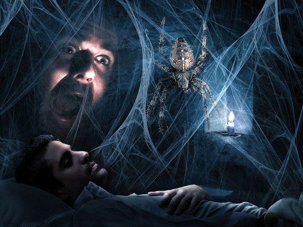 Discovering the true causes of arachnophobia