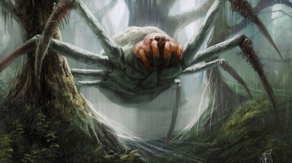 Giant venomous spiders once haunted our ancestors.