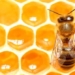 honey bee thuan chay using technology to create alternatives to bee 116434