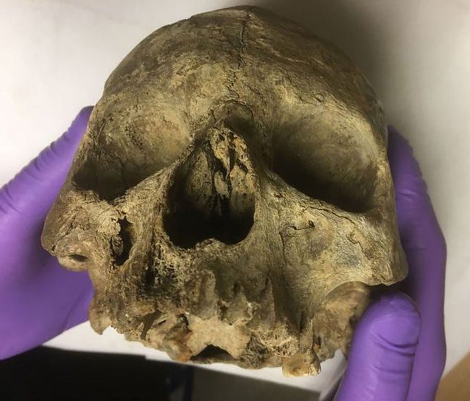 The skull believed to be "the Eve of England" for nearly 8 decades