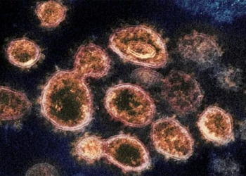 how delta kappa variant evades covid 19 vaccine 117117