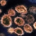 how delta kappa variant evades covid 19 vaccine 117117