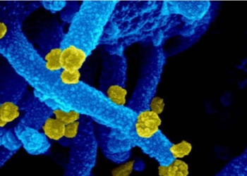 how the variant vaccine mu evolves dramatically 116389