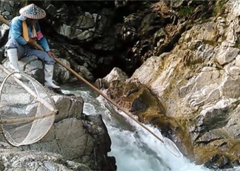 how to catch high value fish like japanese people often do in swordplay movies 117362