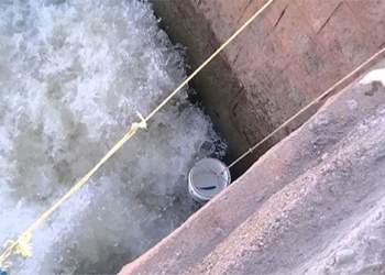 how to catch strange fish with a net in the river surprising group of harvesters 117287
