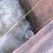 how to catch strange fish with a net in the river surprising group of harvesters 117287