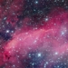 hubble space telescope captures beautiful images of prawn nebula formation star 117439
