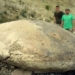 i watched the 3d sculpture on the mountain the amazing expert of the rare 117759