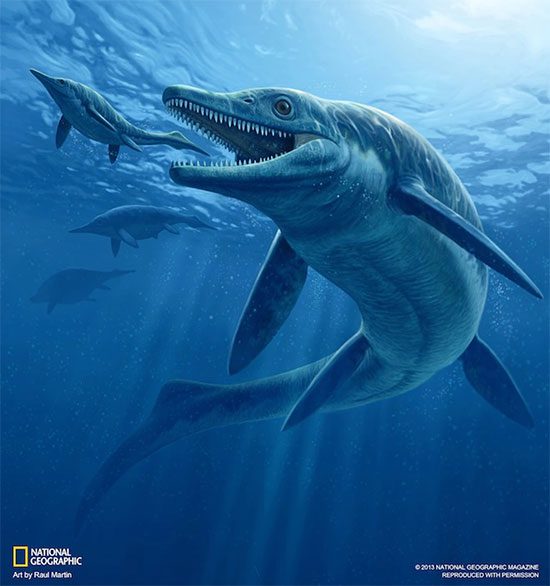 Image depicting the ichthyosaur sea monster.