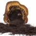indonesia develops coffee waste into material for electric vehicle batteries 116943