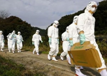 influenza outbreak spreading in europe and asia 117147