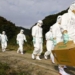 influenza outbreak spreading in europe and asia 117147