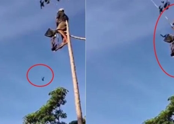 internet users are amazed when watching video of man catching bird in the sky 116810