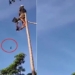 internet users are amazed when watching video of man catching bird in the sky 116810