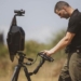 israel invents technology to see through walls 116467