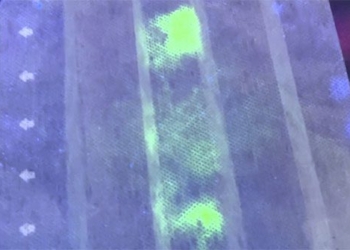 japanese expert invents mask that detects covid 19 117600