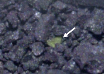 japanese ship brings back materials from space 117941