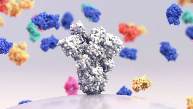 The findings of the CHUV and EPFL scientists were published in the prestigious journal Cell Reports.