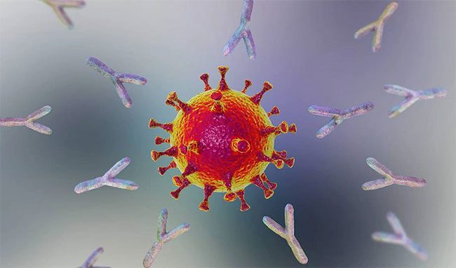Simulation of antibodies attacking the virus