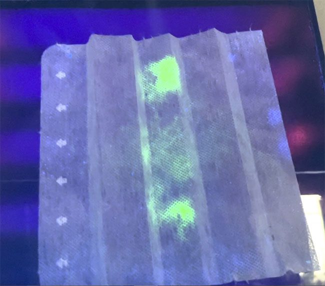 The filter of the mask is treated with fluorescent dye containing antibodies against SARS-CoV-2