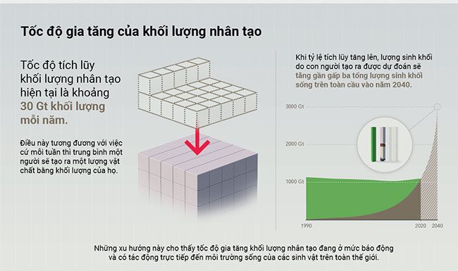 khoi luong nhan tao 2