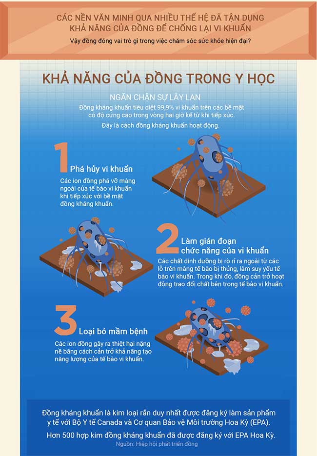 kim loai dong 2