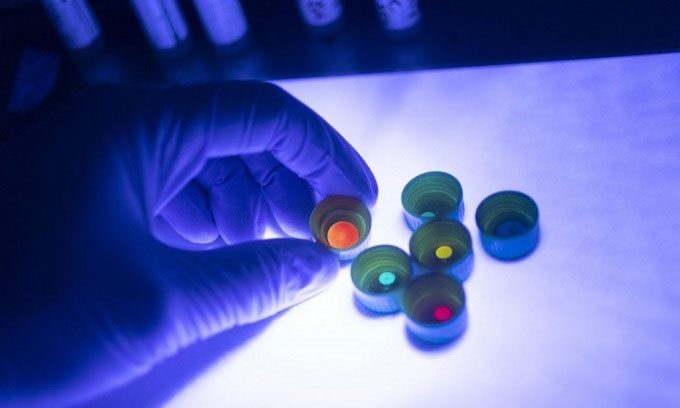 Researchers using the new glass to create light bulbs.