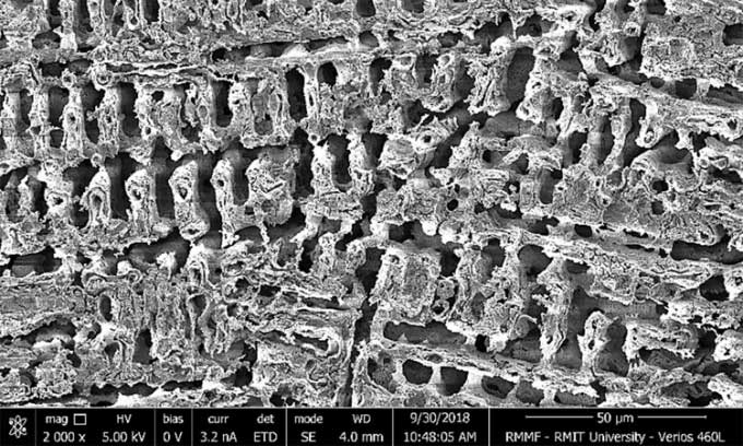 Microscope image of the new copper with tiny hollow cavities.