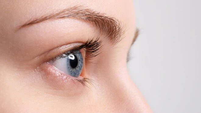 The shape of curled eyelashes is the best way to prevent droplets from entering the eyes.