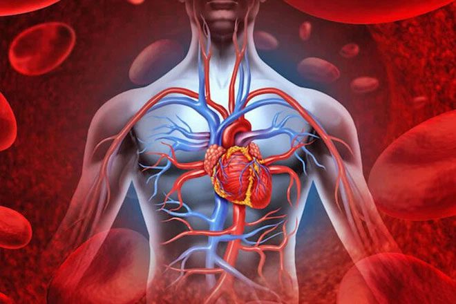 The increased blood volume in your body can also contribute to weight gain.