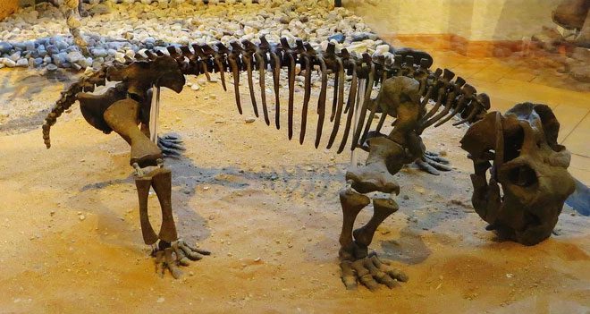 lystrosaurus