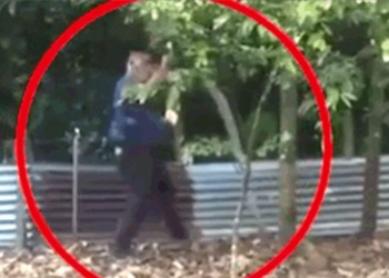 man catches 4 5 meter long snake with one hand 117733