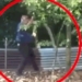 man catches 4 5 meter long snake with one hand 117733