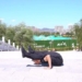 man with 2 million followers due to his ability to bend without falling 116145