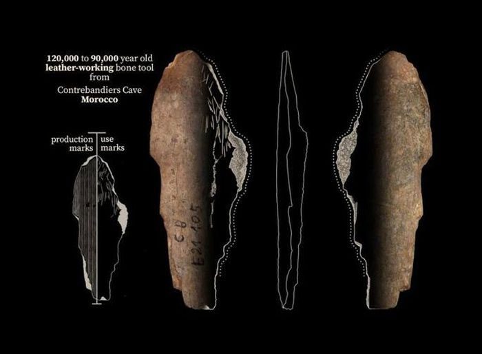 Some bone fragments used as tools for creating ancient clothing
