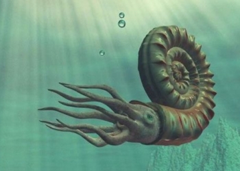 marine creatures giant appeared in western pacific 80 million years ago 117092