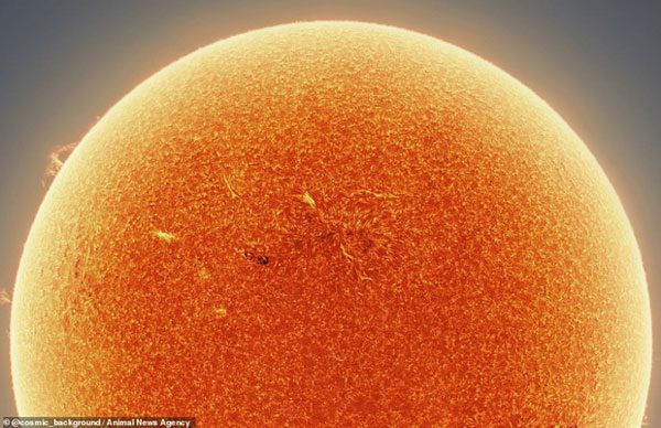 The Sun is the star at the center of the Solar System