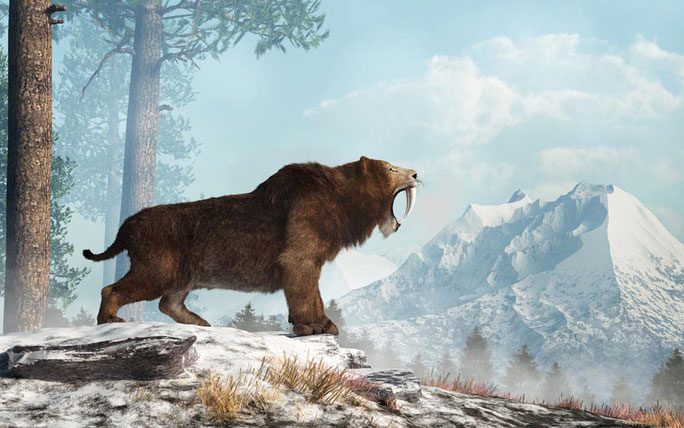 Homotherium saber-toothed cat