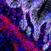 mini stomach can reduce acid in laboratory 117699
