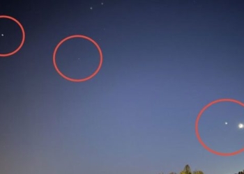 moon stars jupiter venus ascend in the sky 117042