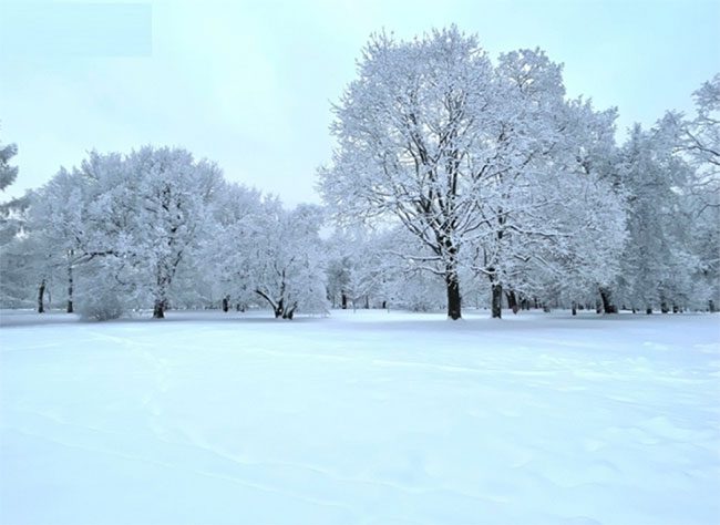The park shines bright with pure white.