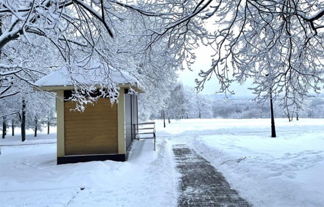 Branches laden with snow along the pathway, creating a fairy-tale ambiance.