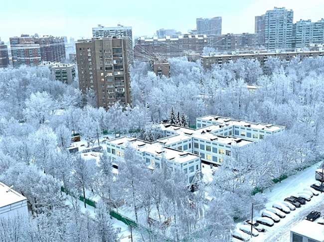 From above, the trees covered in white snow envelop a school.