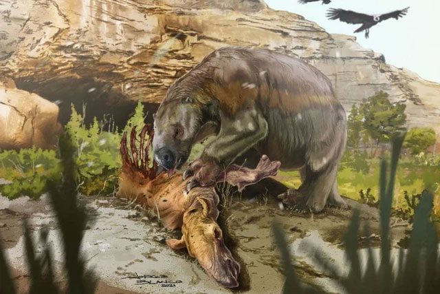 New evidence shows that giant sloths were also scavengers.